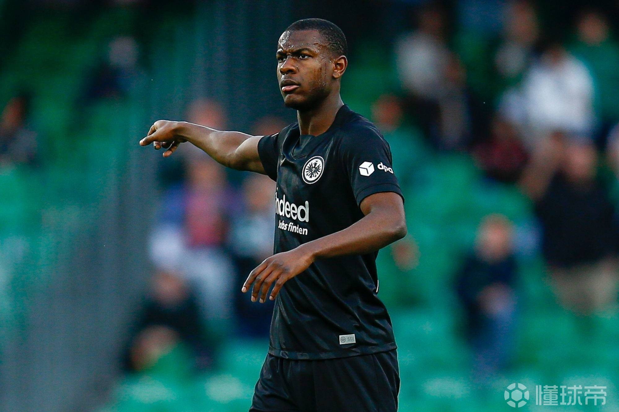 九州娱乐VIP-法兰克福主教练透露阵容轮换计划，希望球队一鼓作气(知情人透露杨紫成毅恋爱)