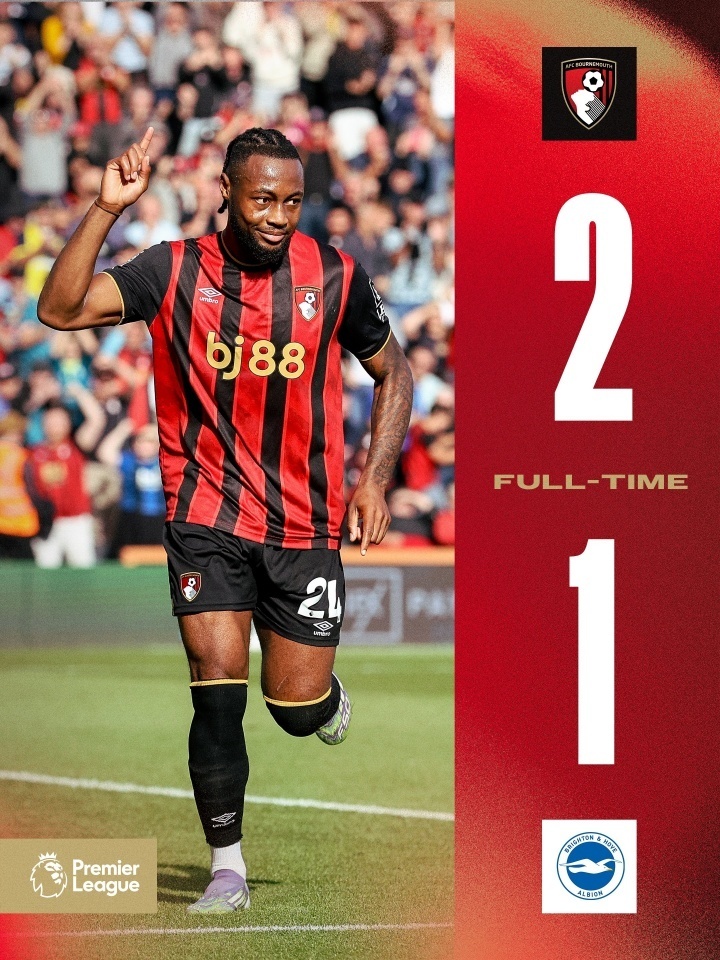 九州娱乐VIP-伯恩茅斯主场失利，保级形势严峻的简单介绍