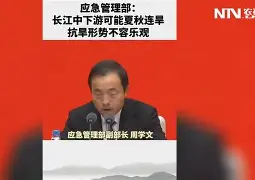 塞维利亚主场失利，争四形势不容乐观的简单介绍